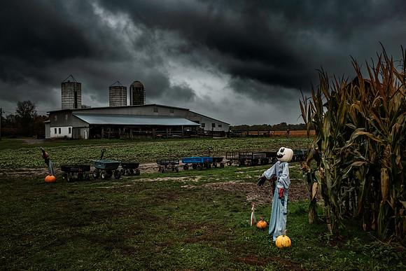 Pumpkin Patch Fall