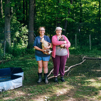 Happy Chicky Farm