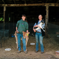 Stewarts Family Farm