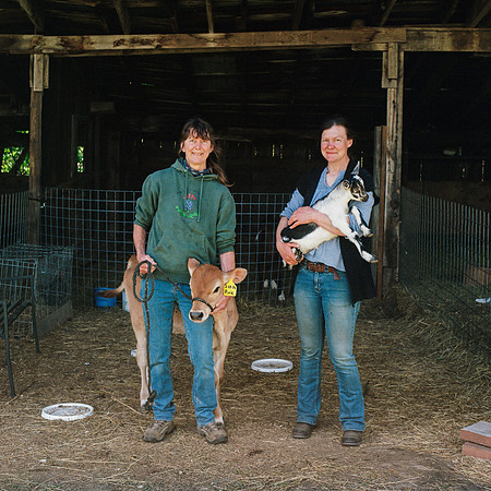 Stewarts Family Farm