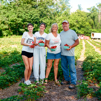 Schultheis Strawberries