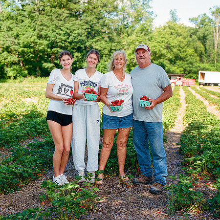 Schultheis Strawberries