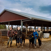 Hillsprings Farm
