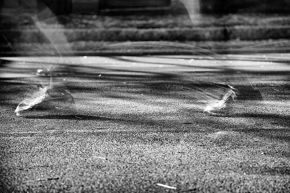 2014 Wineglass Marathon in Corning, NY