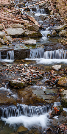 Watkins Glen Spring Creek 1
