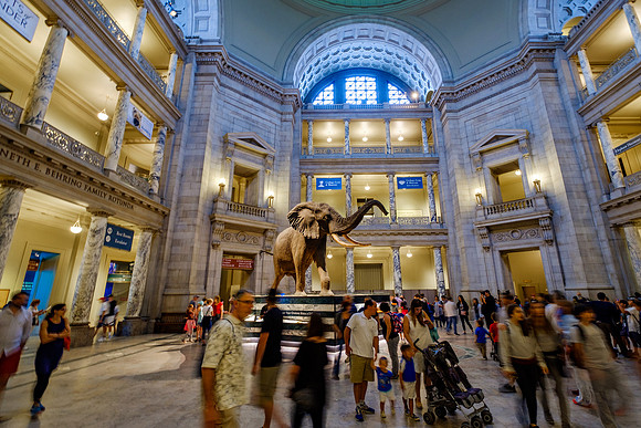Chris Walters Photography of Washington, DC Monuments, Museums, and Sites