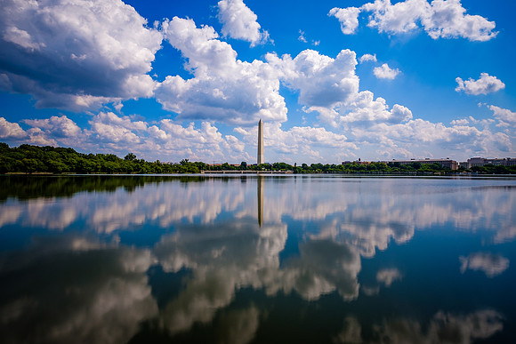 The Tidal Basin 1