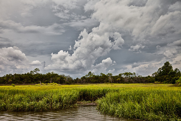 The Low Country
