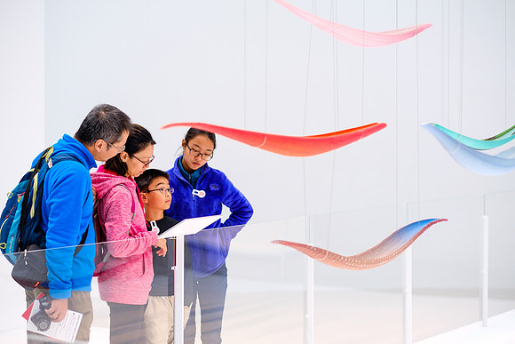 CMOG 3