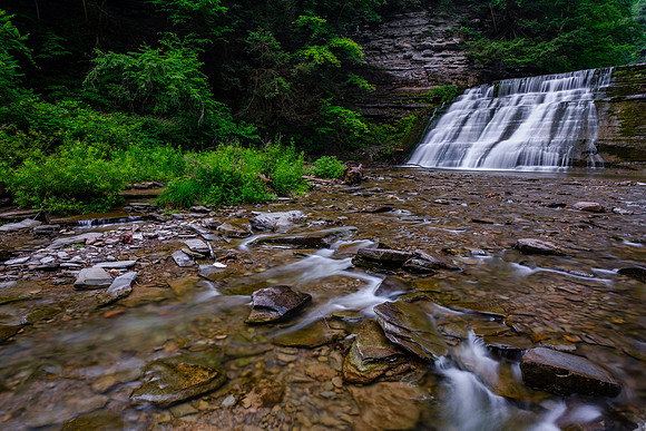 Stony Brook State Park Summer 1