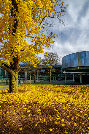 2018 Fall CMOG Outdoors-3