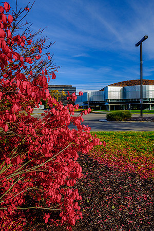 2018 Fall CMOG Outdoors-8