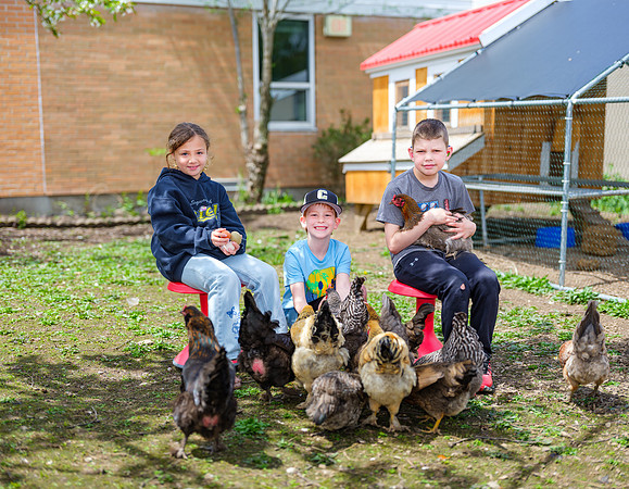 Calvin U. Smith Elementary School Chicken Caretakers