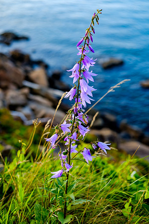 Chris Walters Photography of the Bay of Fundy New Brunswick and Nova Scotia, Canada