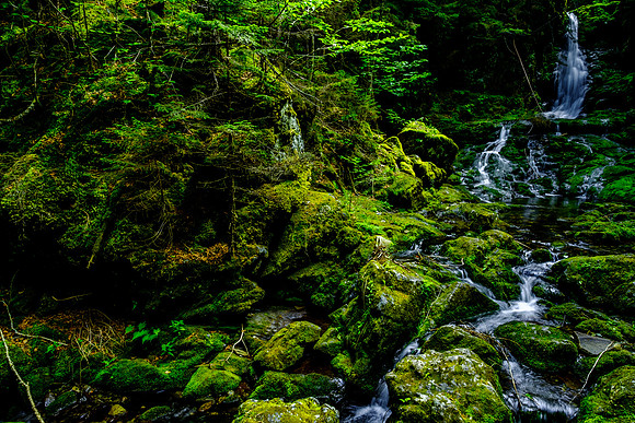 Chris Walters Photography of the Bay of Fundy New Brunswick and Nova Scotia, Canada
