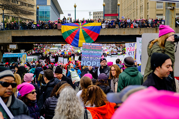 Chris Walters Photography of the Women's March on Washington
