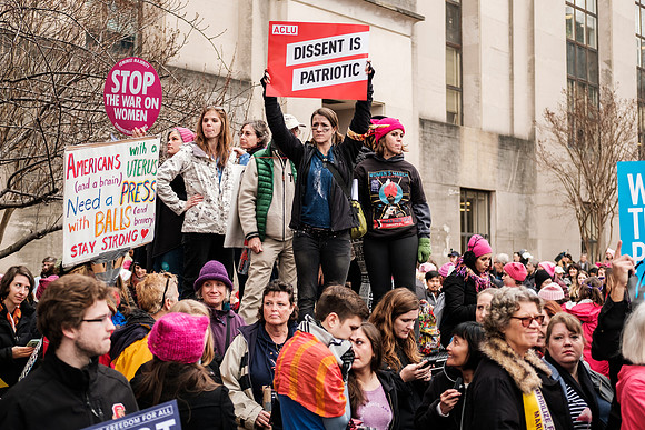 Chris Walters Photography of the Women's March on Washington