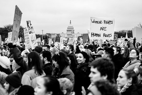 Chris Walters Photography of the Women's March on Washington