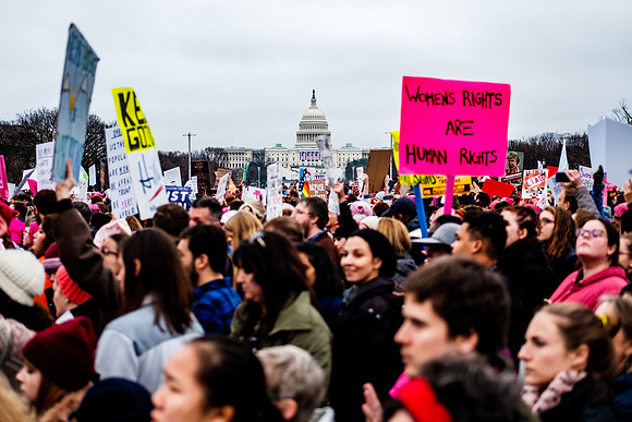 Chris Walters Photography of the Women's March on Washington