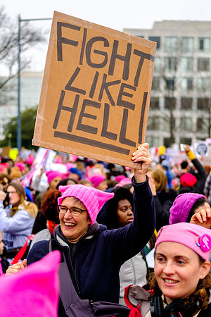 Chris Walters Photography of the Women's March on Washington