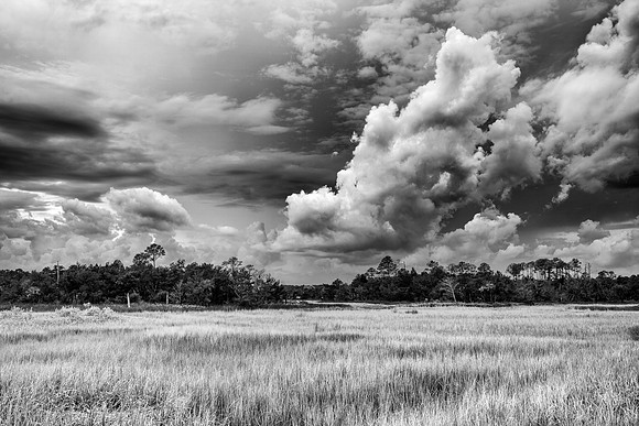 Chris Walters Photography of Savannah,GA, The Low Country, Tybee Island