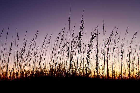 Chris Walters Photography of Savannah,GA, The Low Country, Tybee Island
