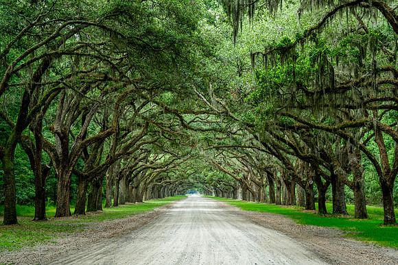 Chris Walters Photography of Savannah,GA, The Low Country, Tybee Island