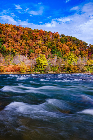 Chemung River Fall Colors