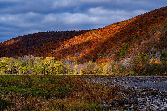 Chemung River Fall Colors 2