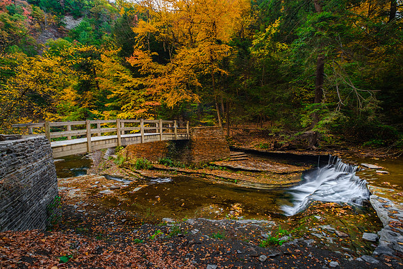 Stoney Brook State park Fall 2