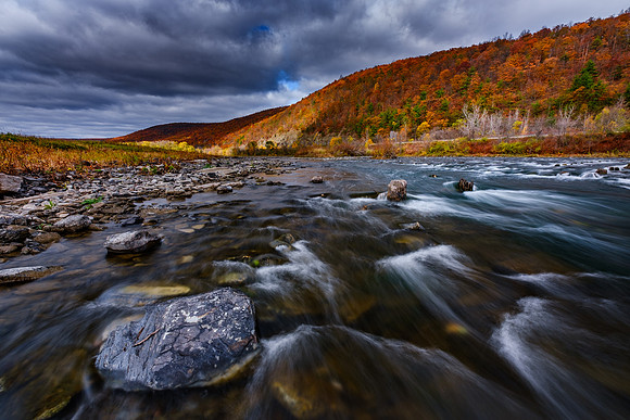 Chemung River Fall Colors 1
