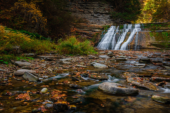 Stoney Brook State park Fall 1