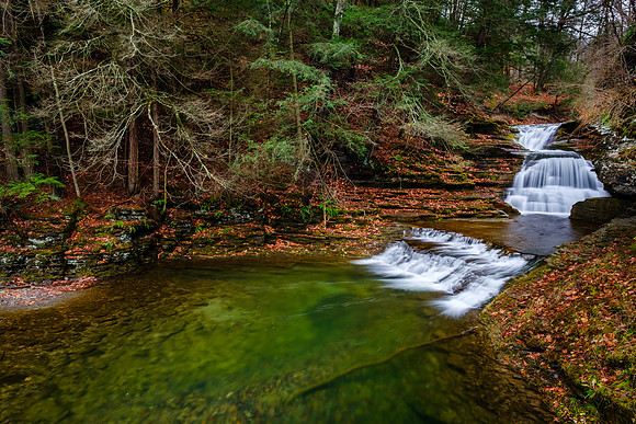 Treman State Park Fall 4
