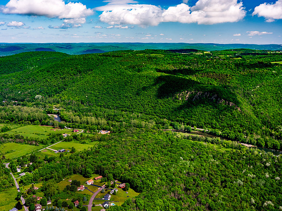 The Preserve
